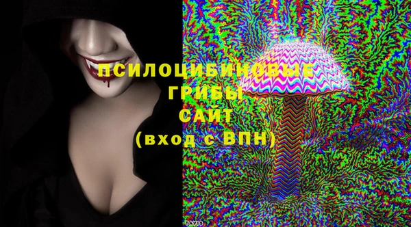 стафф Абинск