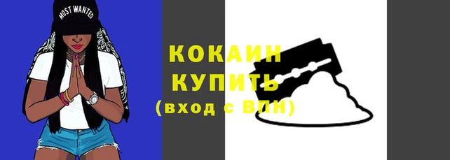 стафф Абинск
